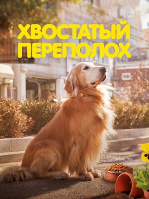 Хвостатый переполох