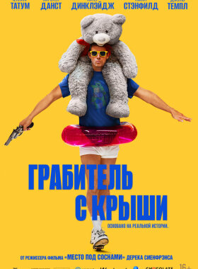 Грабитель с крыши