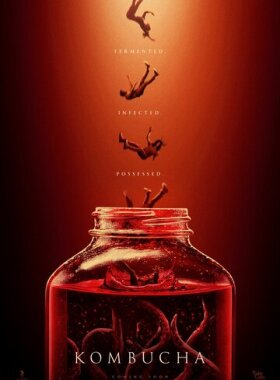 Чайный гриб