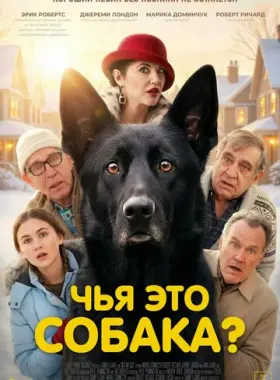 Чья это собака?
